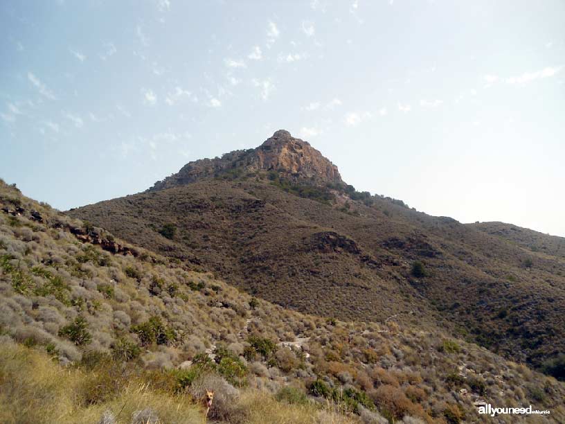 Sendero Cabezo de la Fuente. Calblanque