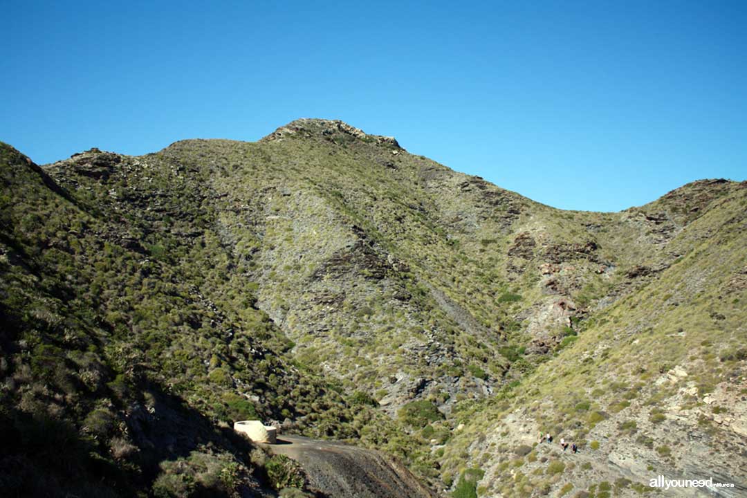 6- Sendero Cala Reona-Déntoles. El Atalayón. Calblanque