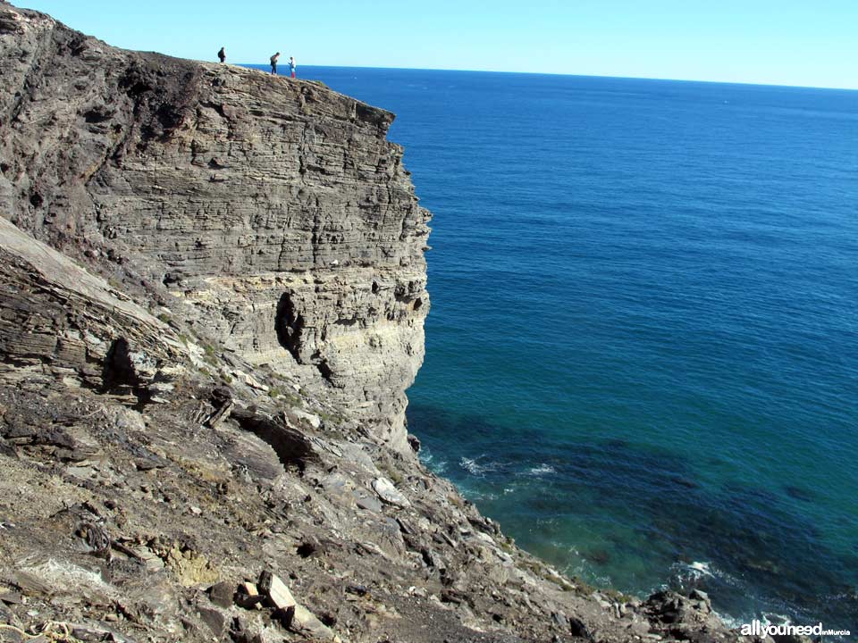 7- Sendero Cala Reona-Déntoles. Punta Barriga, precaución. Calblanque