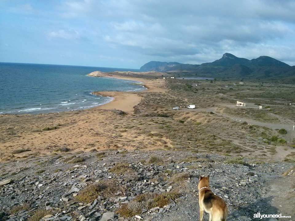 Negra Headland in Calblanque