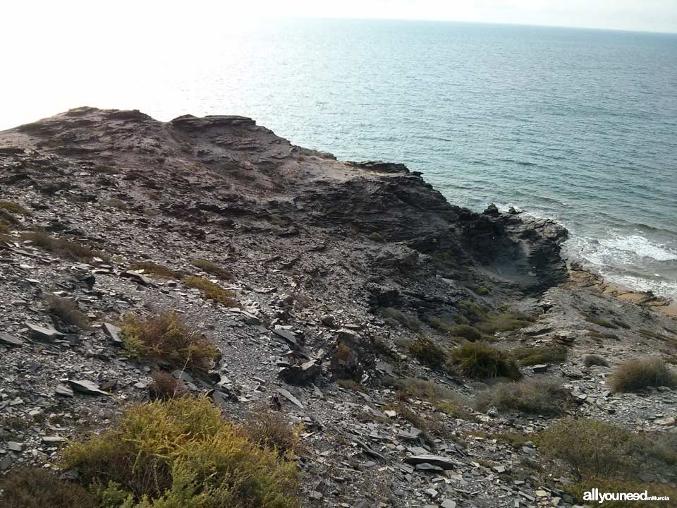 Negra Headland in Calblanque