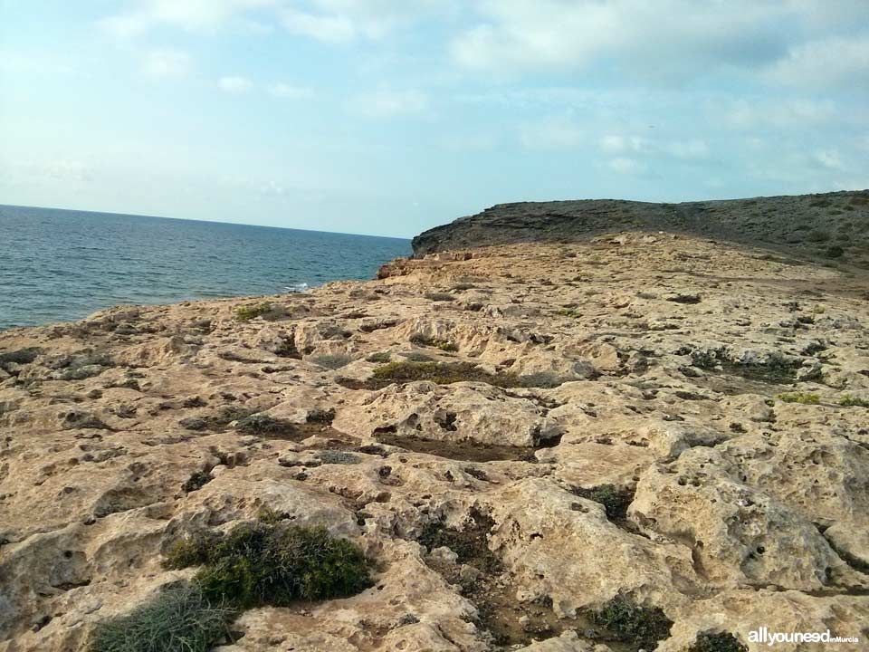 Negra Headland in Calblanque