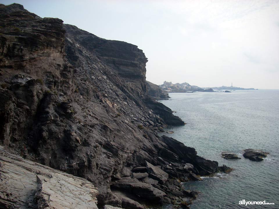 Punta Barriga en Calblanque. Cartagena