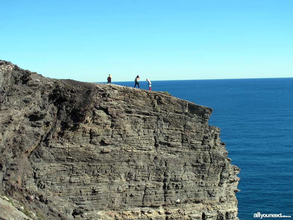 Punta Barriga en Calblanque. Cartagena