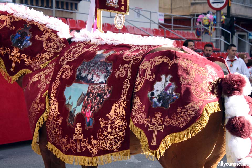 Fiestas de la Santísima y Vera Cruz. Moros y Cristianos. Caballos del Vino. Caravaca