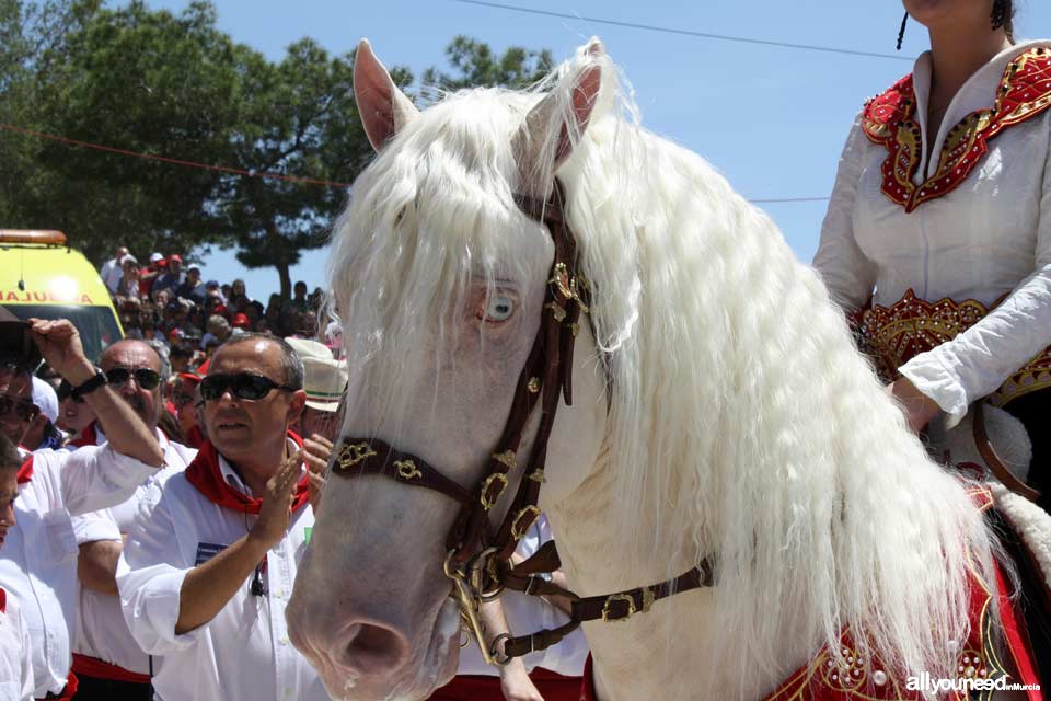 Fiestas de la Santísima y Vera Cruz. Moros y Cristianos. Caballos del Vino. Caravaca