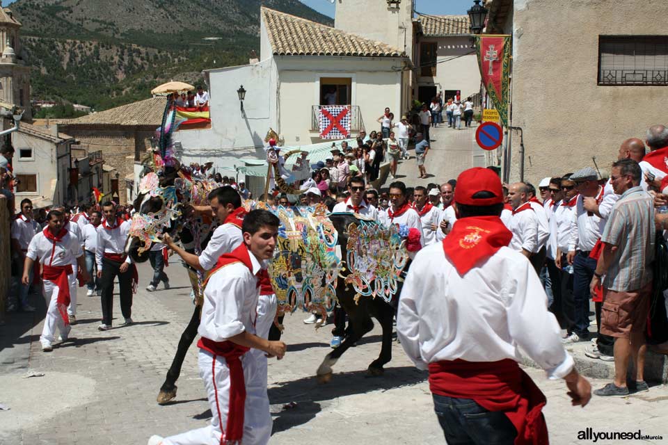 Festivities of Santísima y Vera Cruz