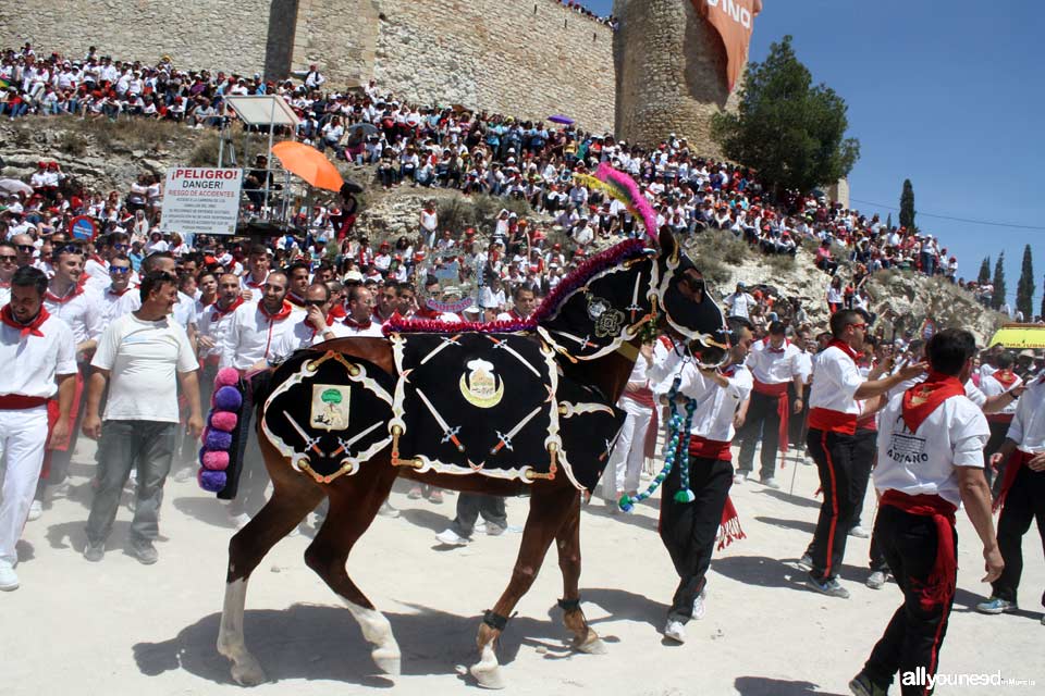 Fiestas de la Santísima y Vera Cruz. Moros y Cristianos. Caballos del Vino. Caravaca