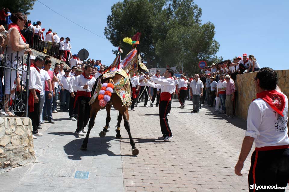 Festivities of Santísima y Vera Cruz