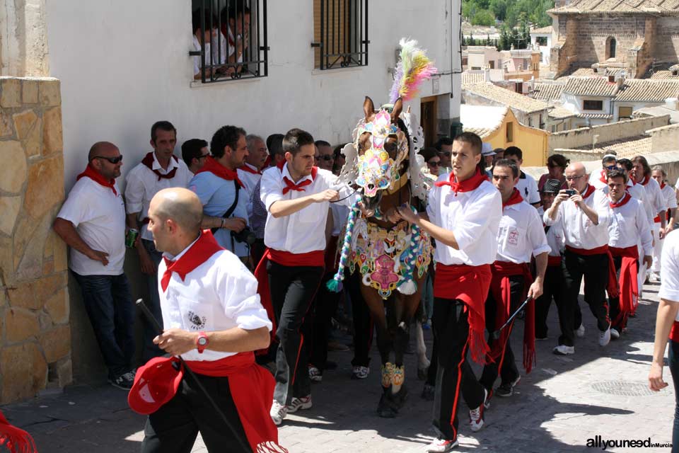 Fiestas de la Santísima y Vera Cruz. Moros y Cristianos. Caballos del Vino. Caravaca