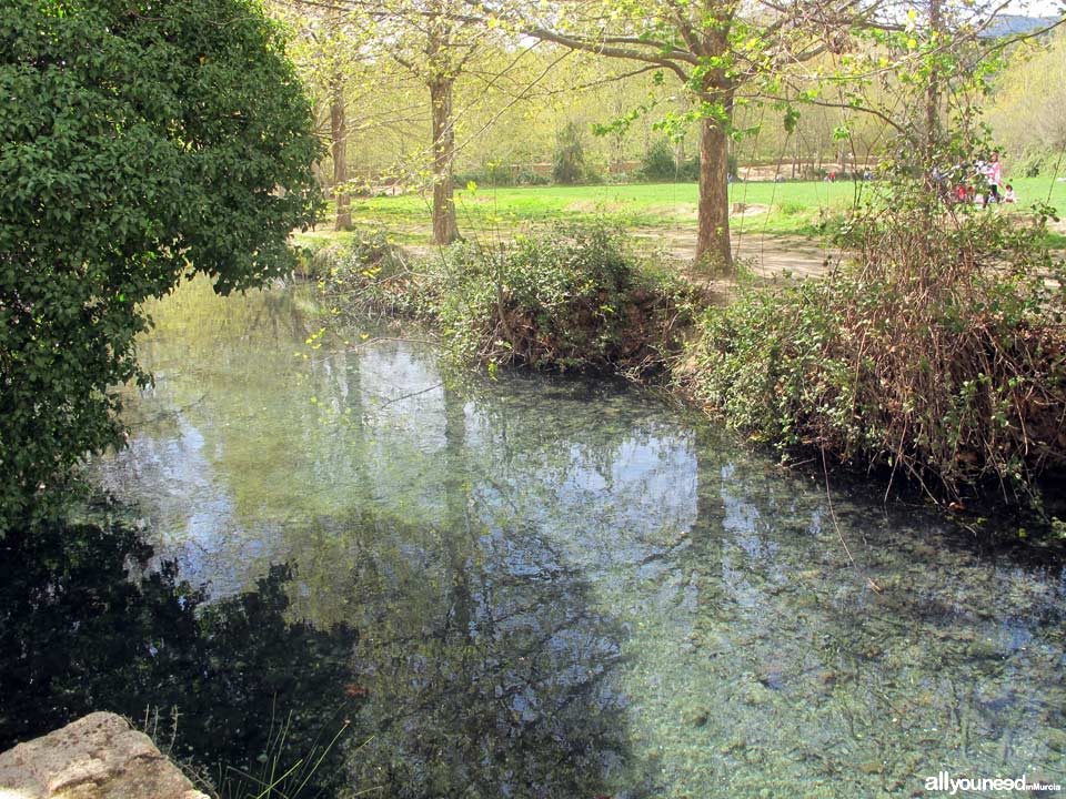 Fuentes del Marqués