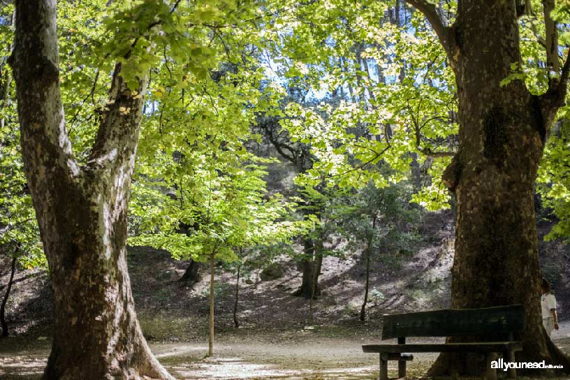 Fuentes del Marqués en Caravaca de la Cruz