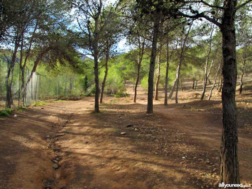 Route between Tentegorra and Monte Roldán. Fence on the left