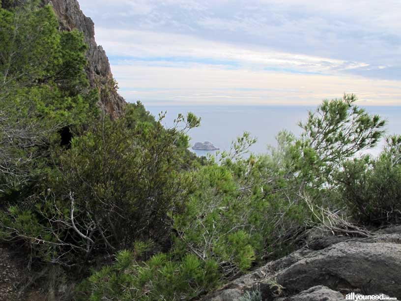 Ruta Tentegorra-Monte Roldán. Sendero a playa de Fatares. Isla de las Palomas