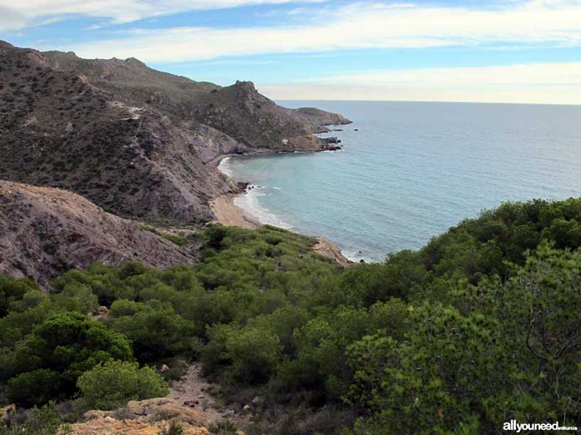 Ruta Tentegorra-Monte Roldán. Sendero a playa de Fatares. Playa de Fatares