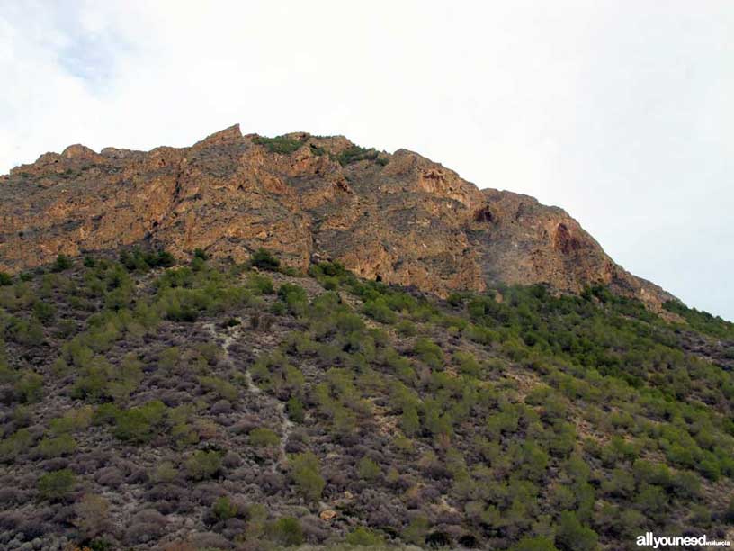 Route between Tentegorra and Monte Roldán