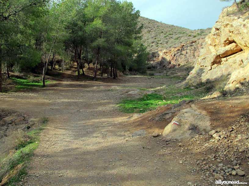 Ruta Tentegorra-Monte Roldán. Senderismo en Cartagena