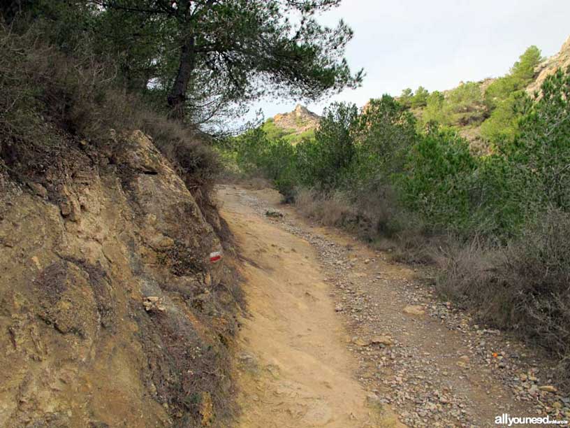 Route between Tentegorra and Monte Roldán