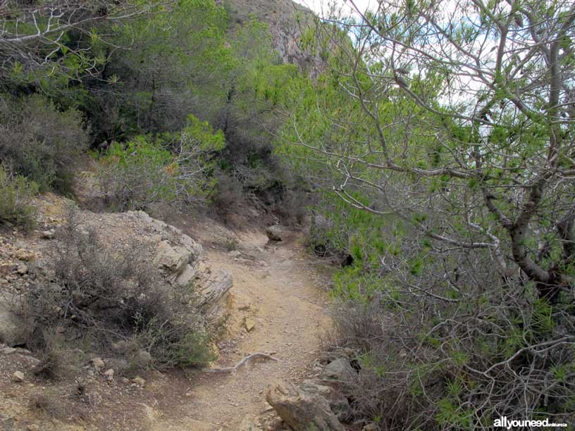 Ruta Tentegorra-Monte Roldán. Sendero a playa de Fatares