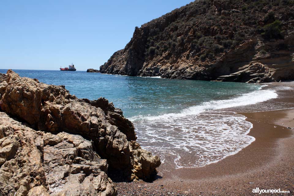 El Bolete Grande Cove. Tiñoso Cape