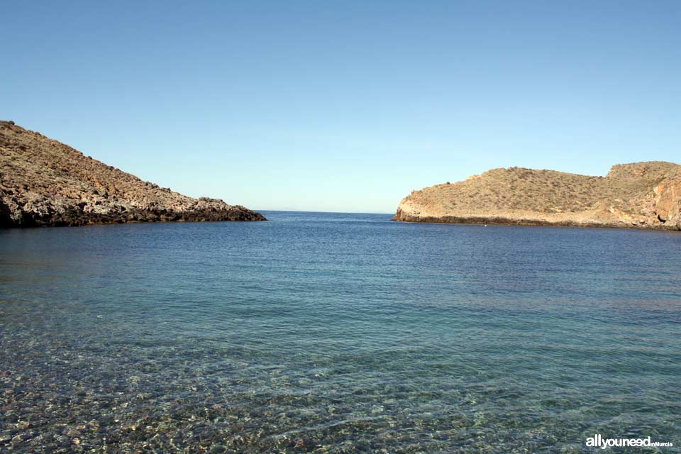 Cerrada Cove. Tiñoso Cape