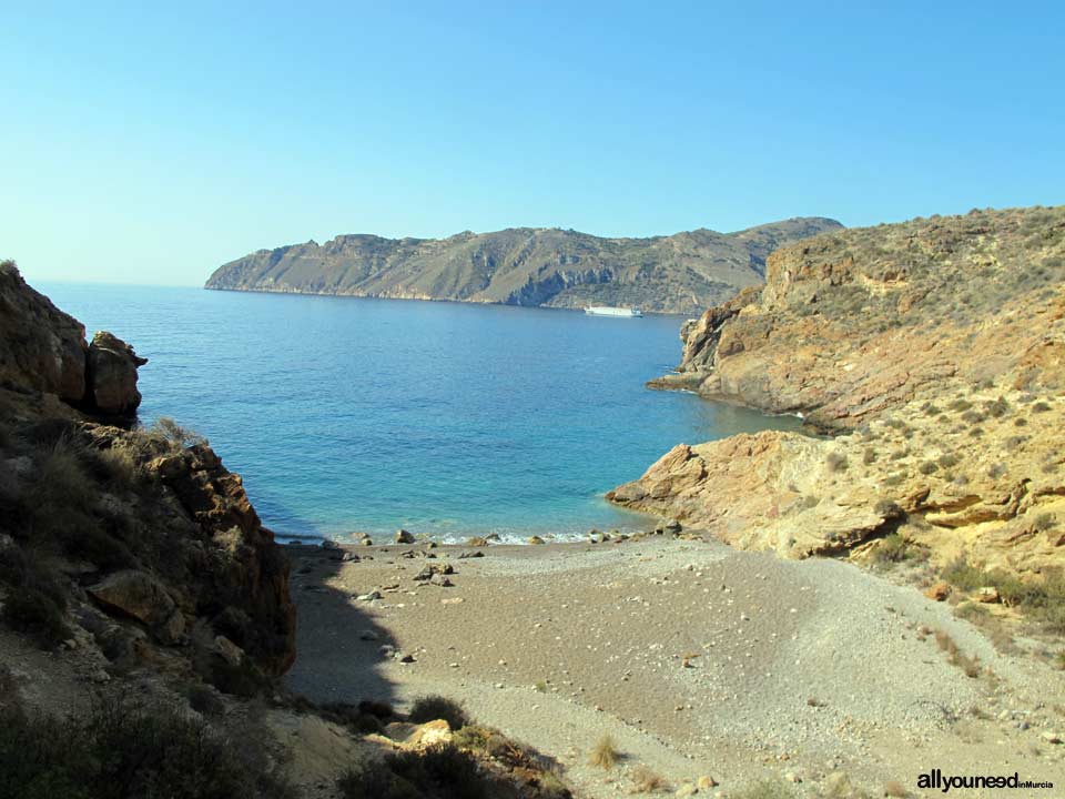 Cala El Bolete. Cabo Tiñoso