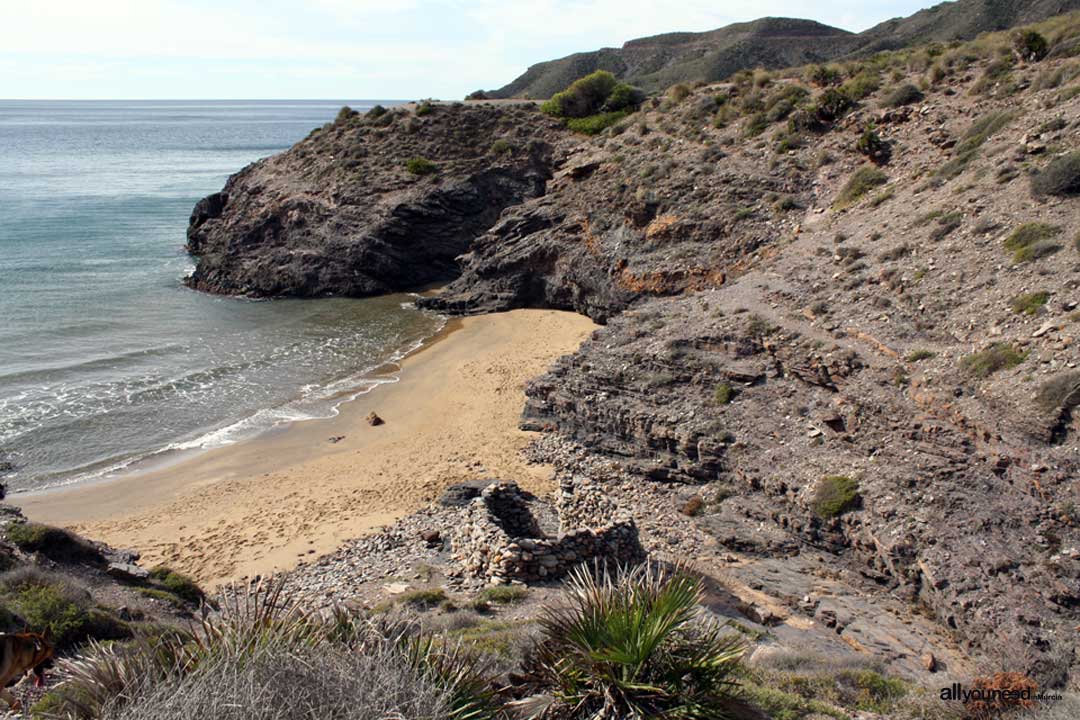 Playas de Calblanque en Cartagena. Cala de los Huncos