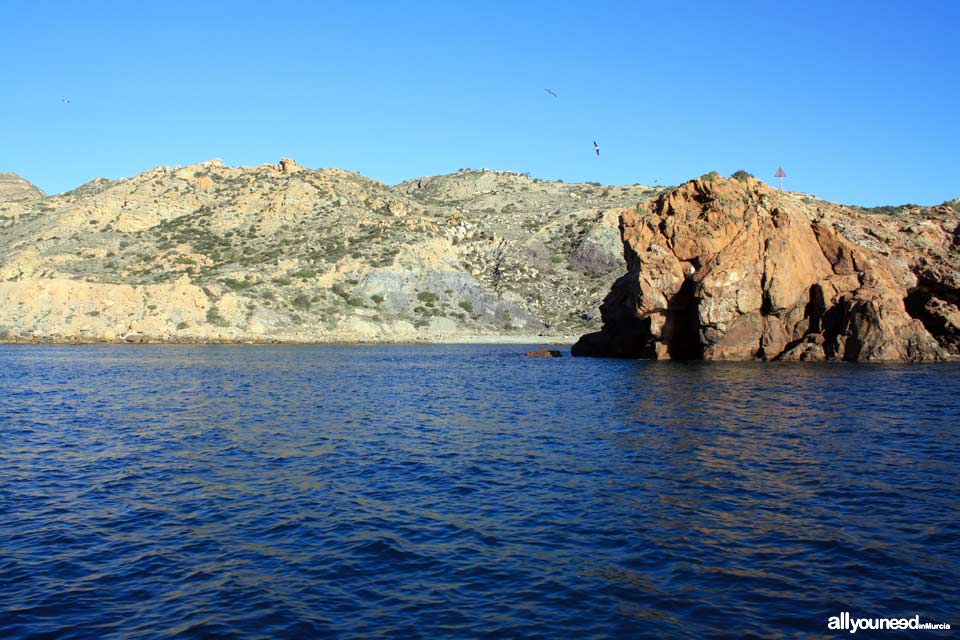 Cala del Gallito en Cartagena