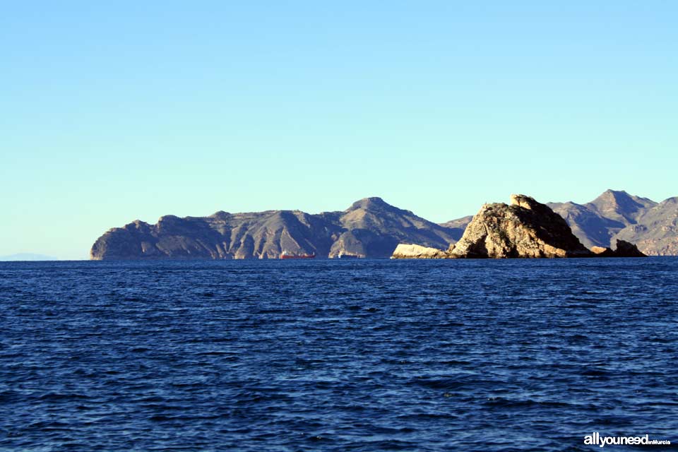 Palomas Island in Cartagena