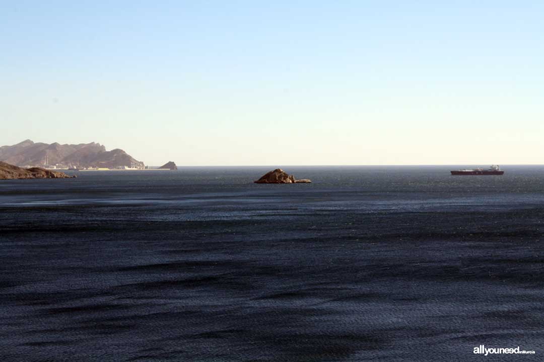 Palomas Island in Cartagena