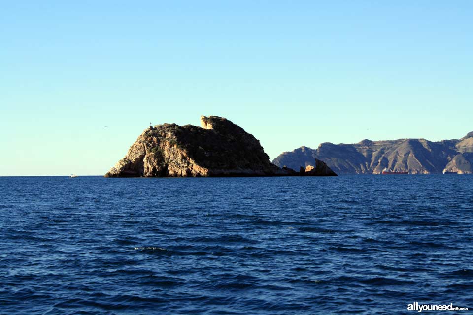 Isla de las Palomas en Cartagena- Al fondo Cabo Tiñoso