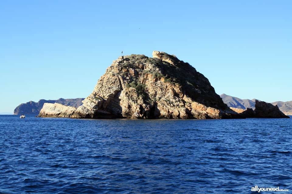 Palomas Island in Cartagena