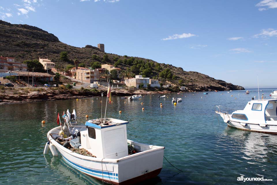 Azohía beach. Tiñoso Cape