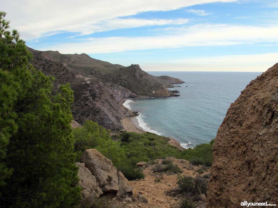 Playa de Fatares en Cartagena, Monte Roldán en Cartagena