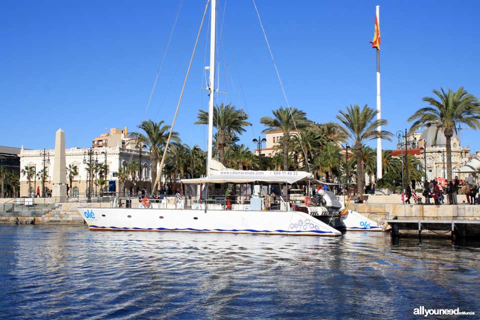 Catamarán Olé. Paseos en barco a vela y motor