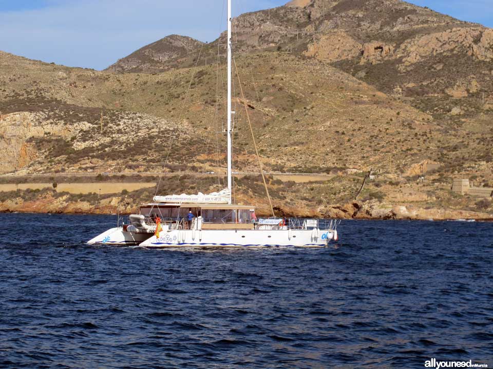 Catamarán Olé boating