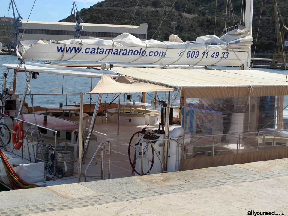 Catamarán Olé boating