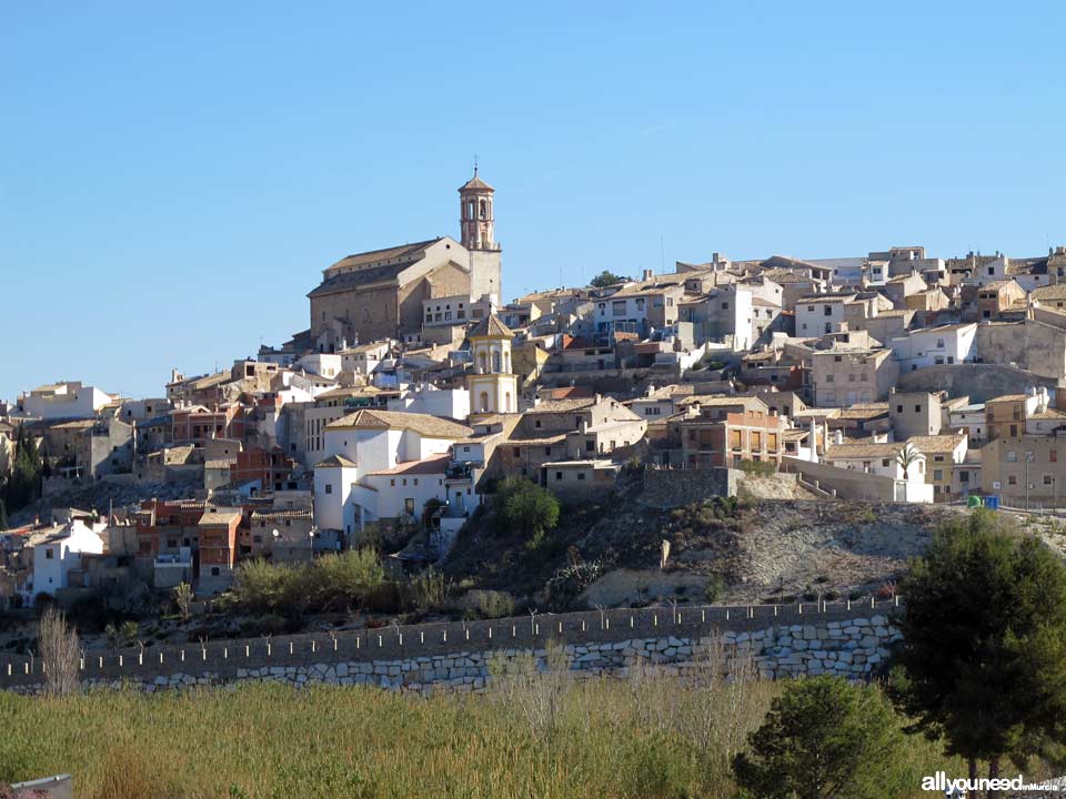 Panoramic view of Cehegín