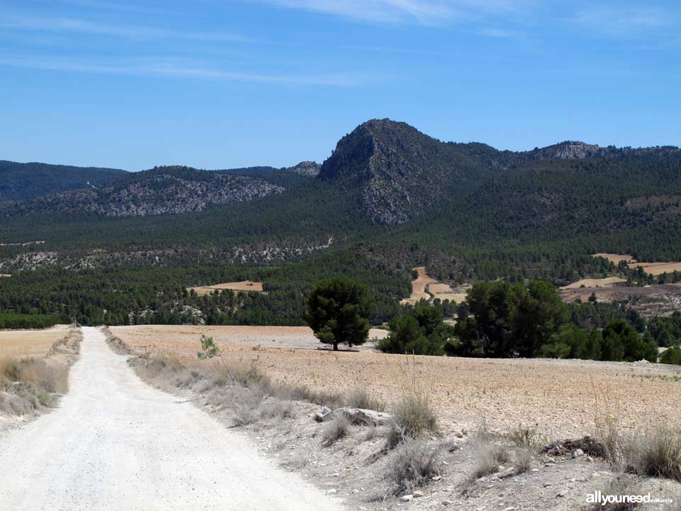  A por setas. Sierra de Burete, entre Cehegín y Bullas