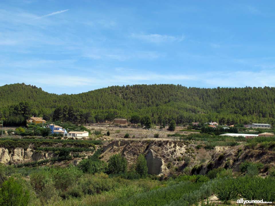 A por setas. Sierra de Burete