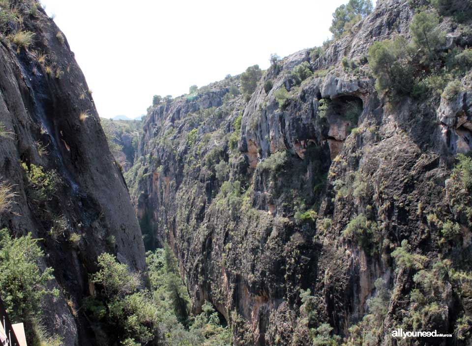 Cañón de Almadenes en Cieza. Murcia