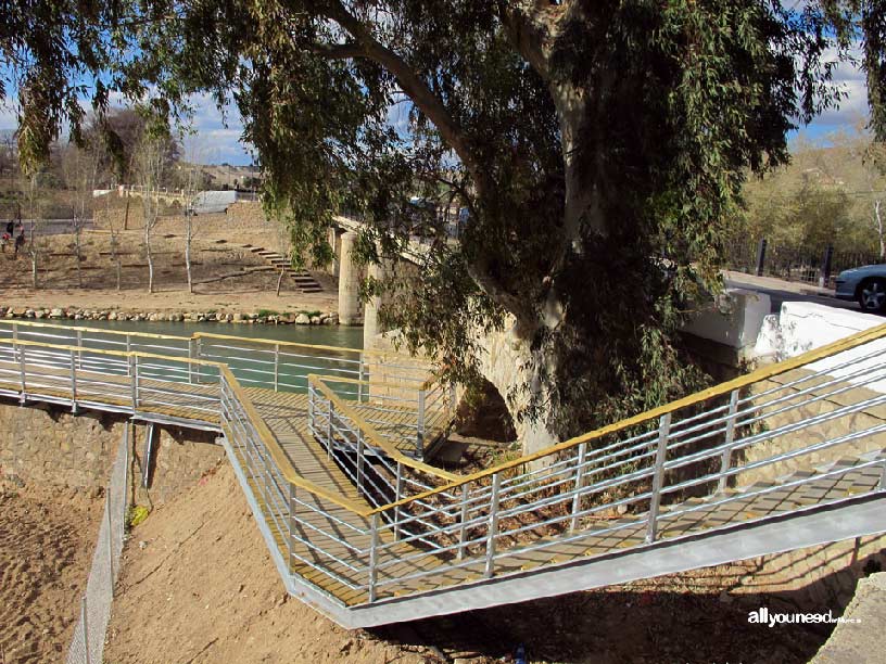 Paseo Ribereño por Cieza