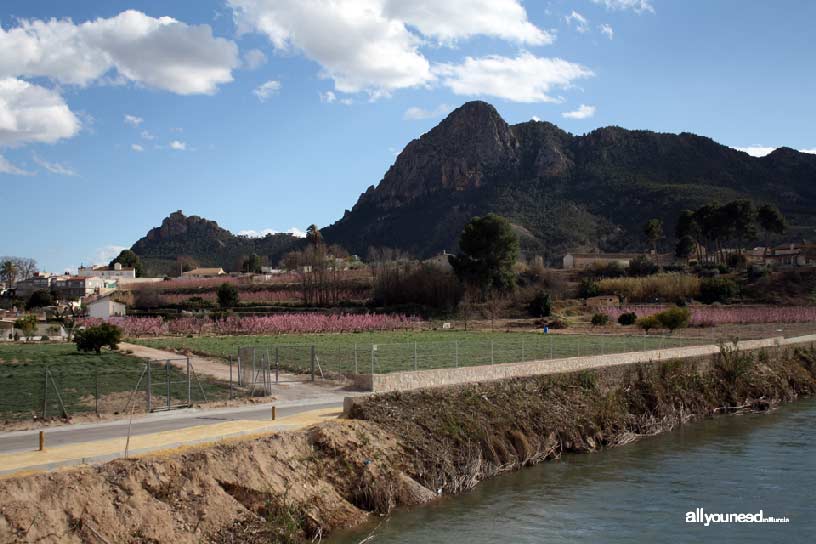 Paseo Ribereño por Cieza