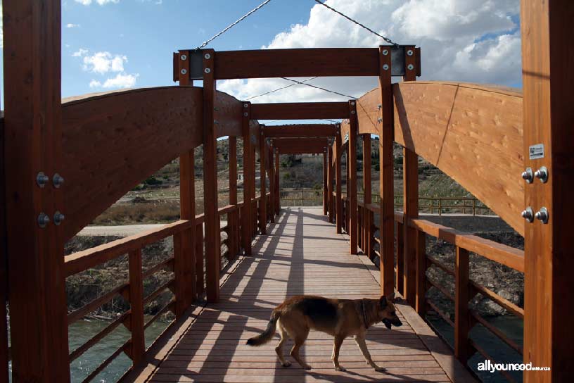 Paseo Ribereño por Cieza