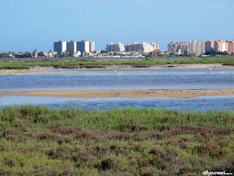 La Manga del Mar Menor. Las Encañizadas