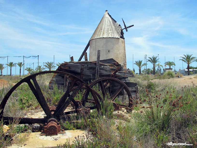 La Manga del Mar Menor. Molino de Veneziola