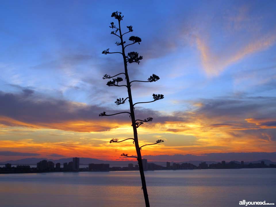 Atardecer en el Mar Menor. Faro de Cabo de Palos