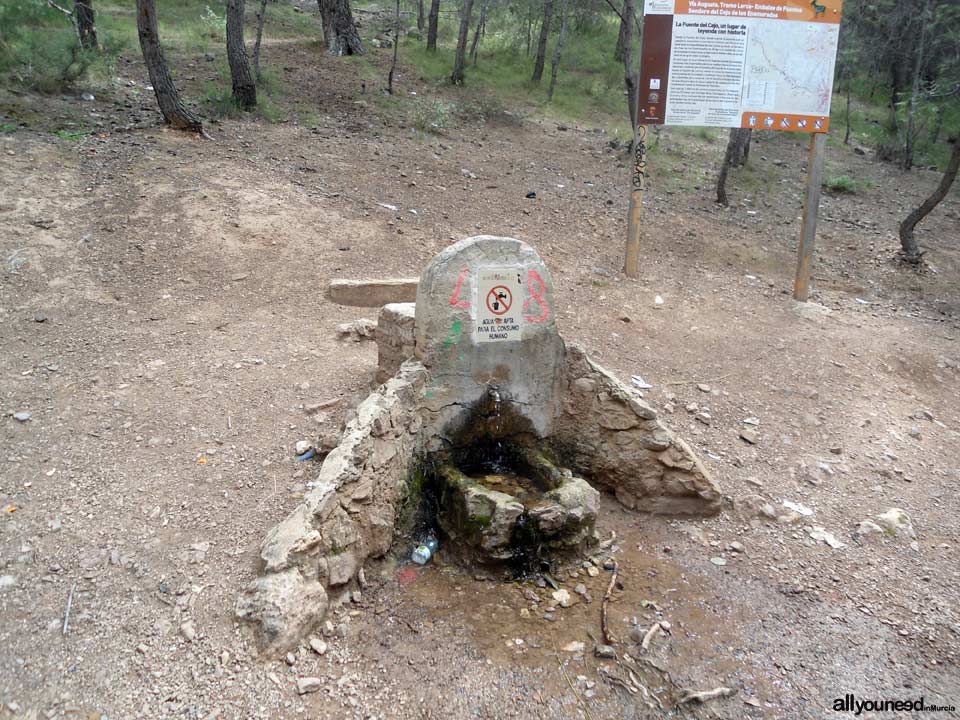 La senda de los enamorados en Lorca. Fuente del Cejo y fin