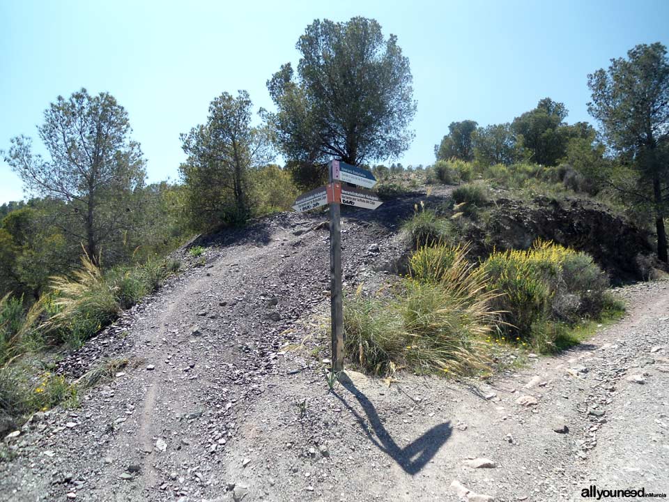 La senda de los enamorados en Lorca. Bifurcación a la izquierda