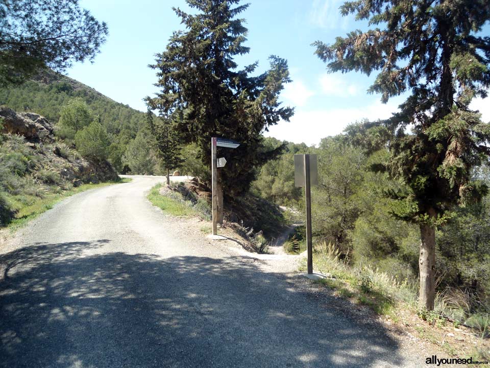 La senda de los enamorados en Lorca. De camino asfaltado a senda